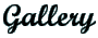Gallery button