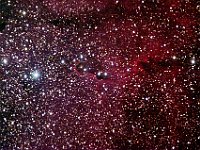 IC 1396  Elephant's Trunk Nebula. Taken at home on 08/08/08.  Orion ED80 scope, ST-10XME camera. 60 seconds/frame, total time 78 minutes (LRGB=39:13:13:13). The picture covers most of IC 1396, of which the Elephant's Trunk Nebula is but a small part.