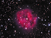 IC 5146  Cocoon Nebula Taken at home on 08/05/10 and 08/12/10.  RCX400 scope, ST-10XME camera. 150 seconds/frame, total time 370 minutes (LRGB=190:60:60:60). The picture shows emission, reflection and dark nebulae.