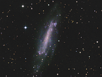 NGC 4236  Barred Spiral Galaxy in Draco. Taken on 01/23/14 - 02/22/14. Planewave CDK 12.5", SBIG ST-10XME camera. 300 seconds/image, total time 14h 15m (LRGB = 430:130:135:160 minutes).