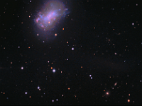 NGC 4449  Galaxy in Canes Venatici, with tidal stream. Taken at home on 02/28/13, 03/01/13, 03/08/13, 03/09/13, 03/10/13, 03/11/13, 03/12/13, 03/13/13, and 03/15/13.  PlaneWave CDK 12.5" scope, ST-10XME camera. 300 seconds/frame, total time 23 hours 10 minutes (LRGB = 1060:10:120:120 minutes).