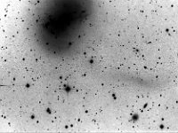 NGC 4449  Galaxy in Canes Venatici, with tidal stream. Taken at home on 02/28/13, 03/01/13, 03/08/13, 03/09/13, 03/10/13, 03/11/13, 03/12/13, 03/13/13, and 03/15/13.  PlaneWave CDK 12.5" scope, ST-10XME camera. 300 seconds/frame, total time 23 hours 10 minutes (LRGB = 1060:10:120:120 minutes).  Black and white image shows the tidal stream better.  It is actually another galaxy merging with NGC 4449.