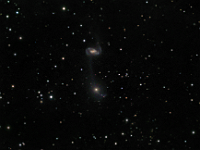 NGC 5216 + 5218  Hickson's System. Taken at home on 07/01/11 through 07/06/11. Meade RCX400 10", ST-10 XME. 300 seconds/frame, total time = 425 minutes (LRGB=305:40:40:40). The upper and lower galaxies are NGC 5216 and NGC 5218 respectively.  They have undergone a collision, which has left a "counter tide" extending from the bottom of NGC 5218.